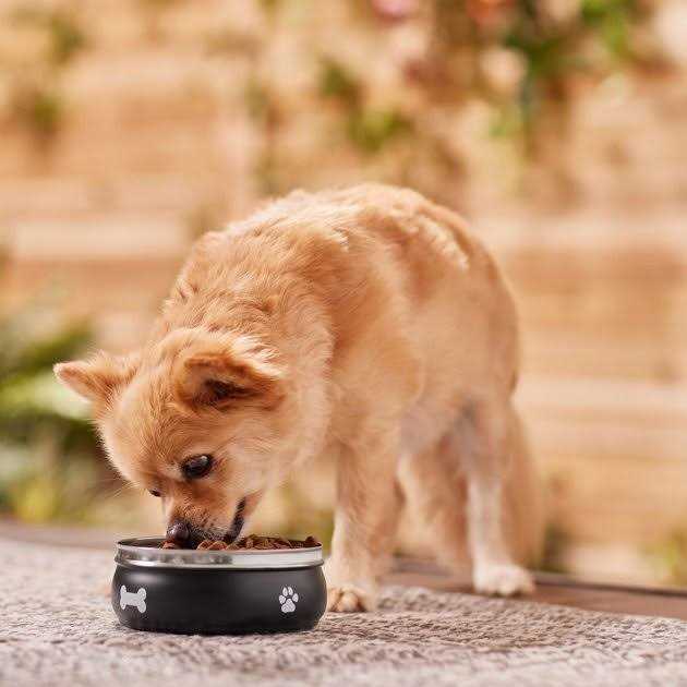 Non-skid Stainless Steel Dog & Cat Bowl L59176