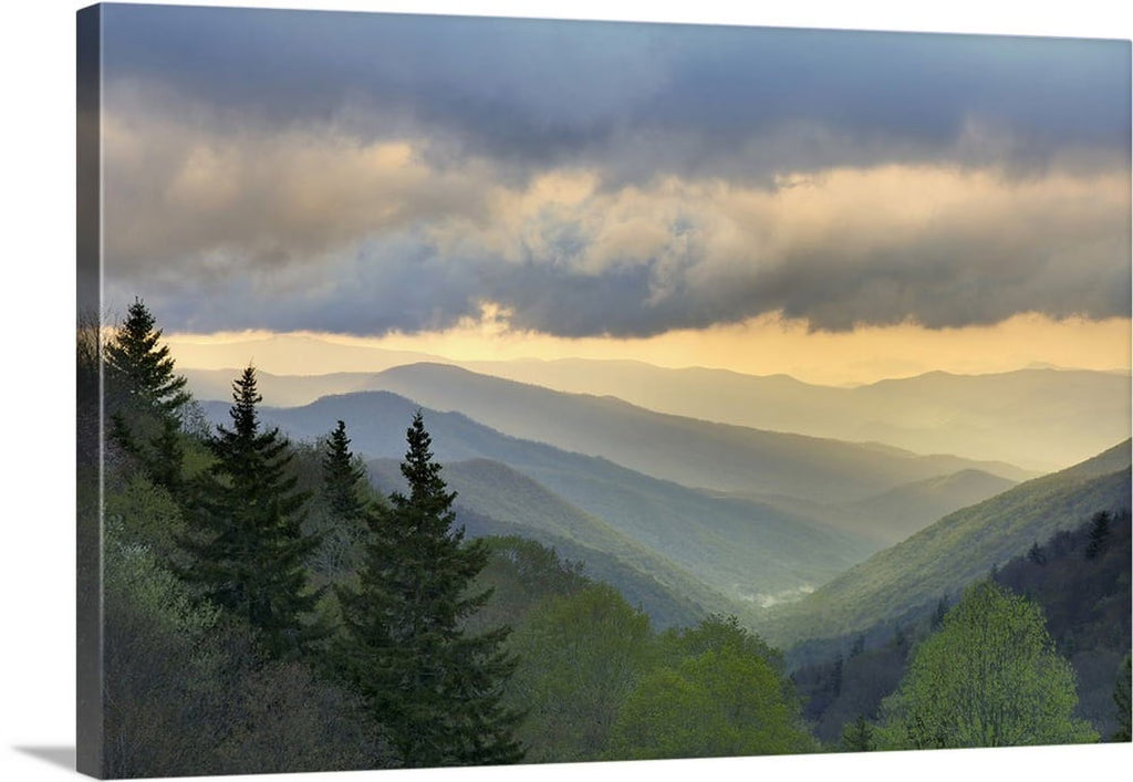Canvas Wall Art I57015