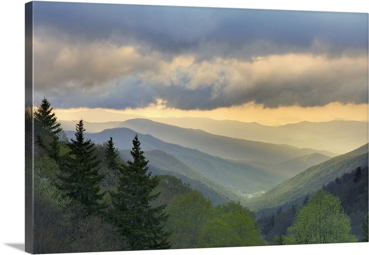 Canvas Wall Art I57015