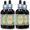 Organic Dried Fruits Alcohol-Free Liquid Extract 4x4 fl.oz Y216695