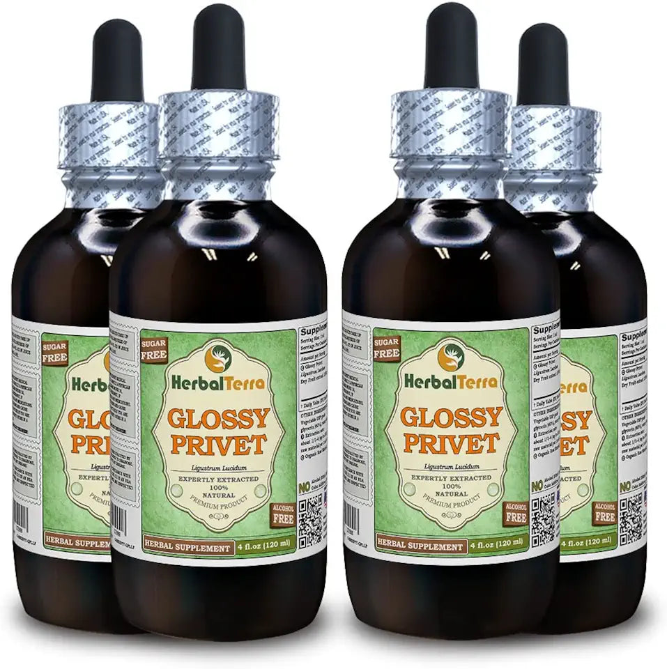 Organic Dried Fruits Alcohol-Free Liquid Extract 4x4 fl.oz Y216695