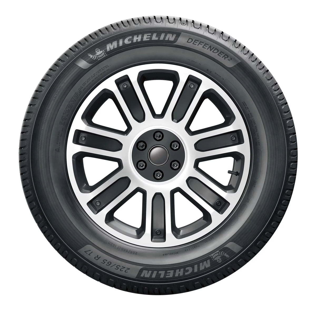 All Season 225/65R17 102H Passenger Tire G456
