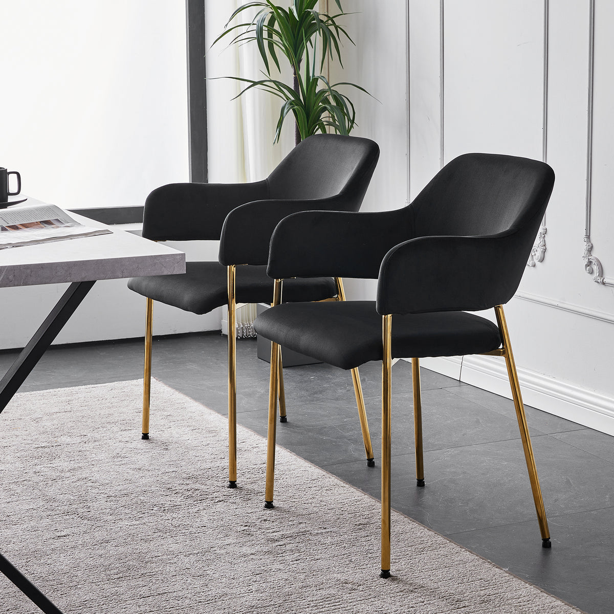 Black Velvet Dining Chairs Set of 2 with Armrest and Golden Chrome Legs C7826