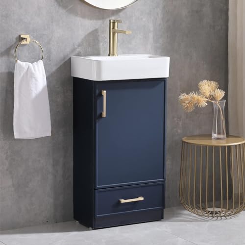 Blue 1 Door 1 Drawer Bathroom Vanity with Sink O457313