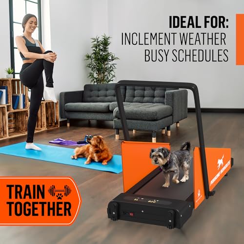 Dog Treadmill for Small and Medium Dogs V400431