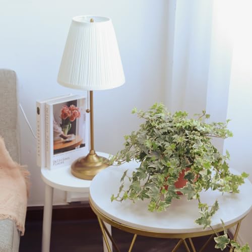 English Ivy (4" Pot) B696