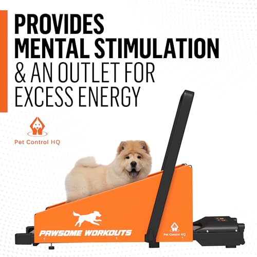 Dog Treadmill for Small and Medium Dogs V400431