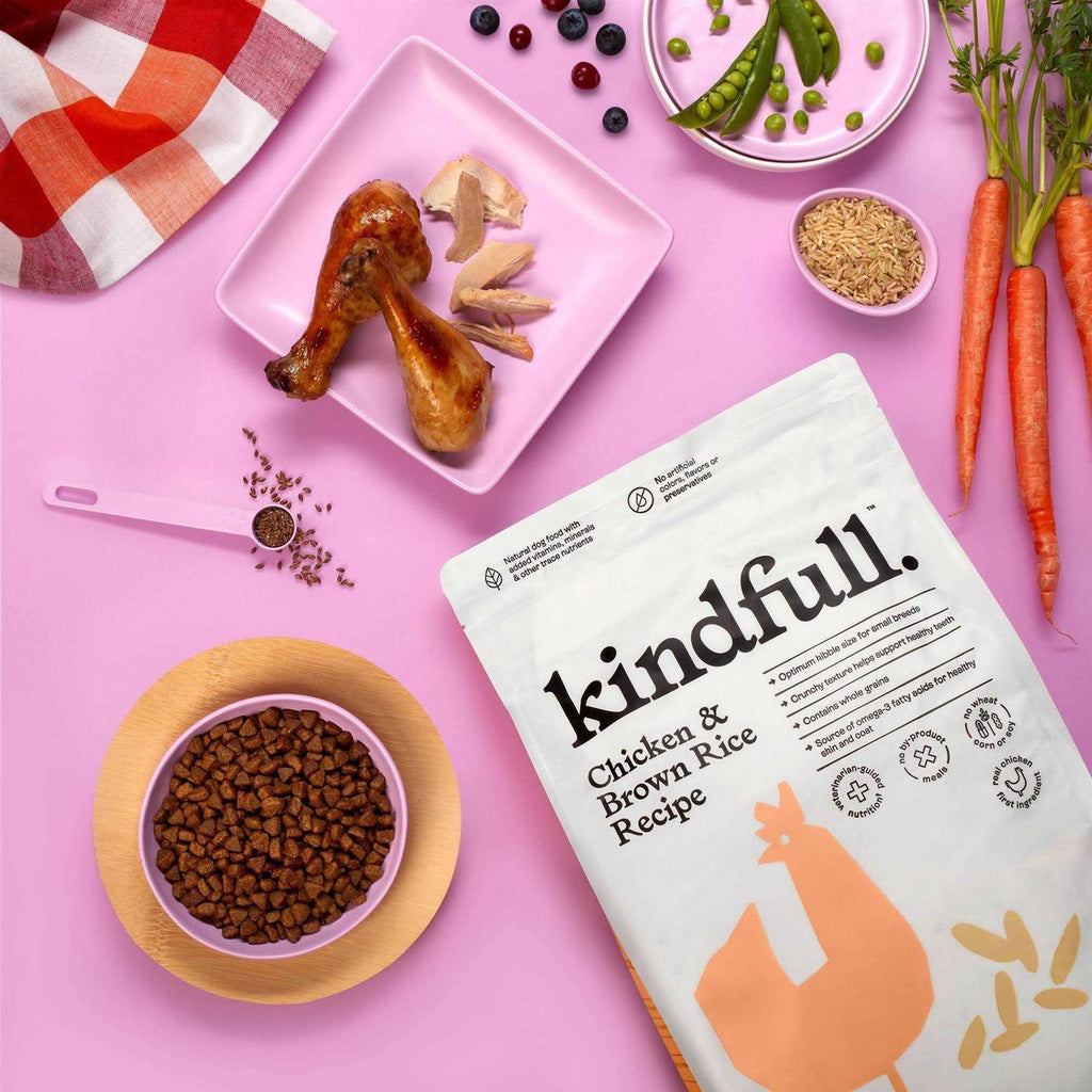Chicken and Brown Rice Recipe Dry Dog Food C325304