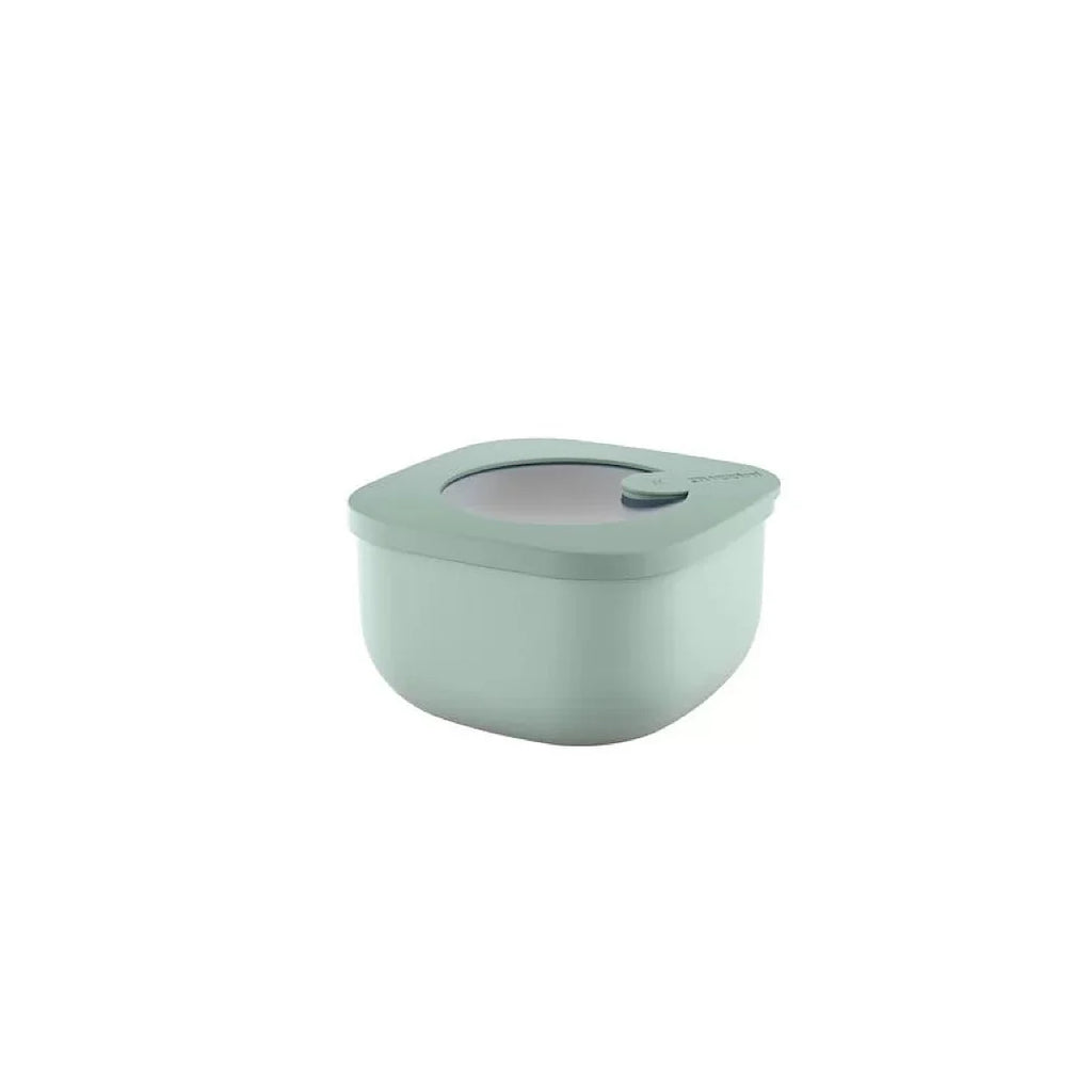 Sage Green 450cc Airtight Containers V461