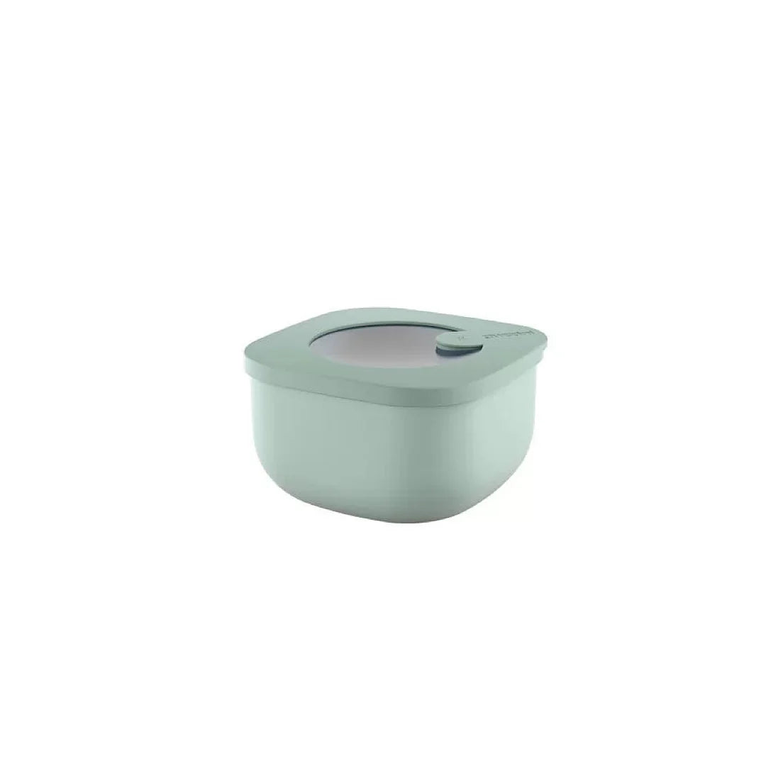 Sage Green 450cc Airtight Containers V461