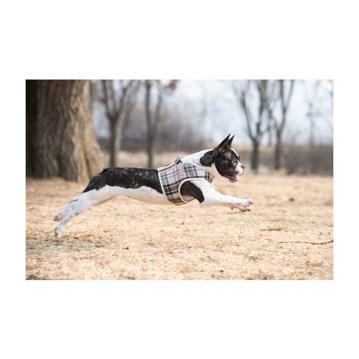 Dog Harness M107030