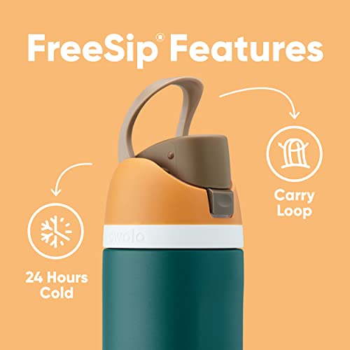 24 oz Insulated Stainless Steel Water Bottle with Straw N582529