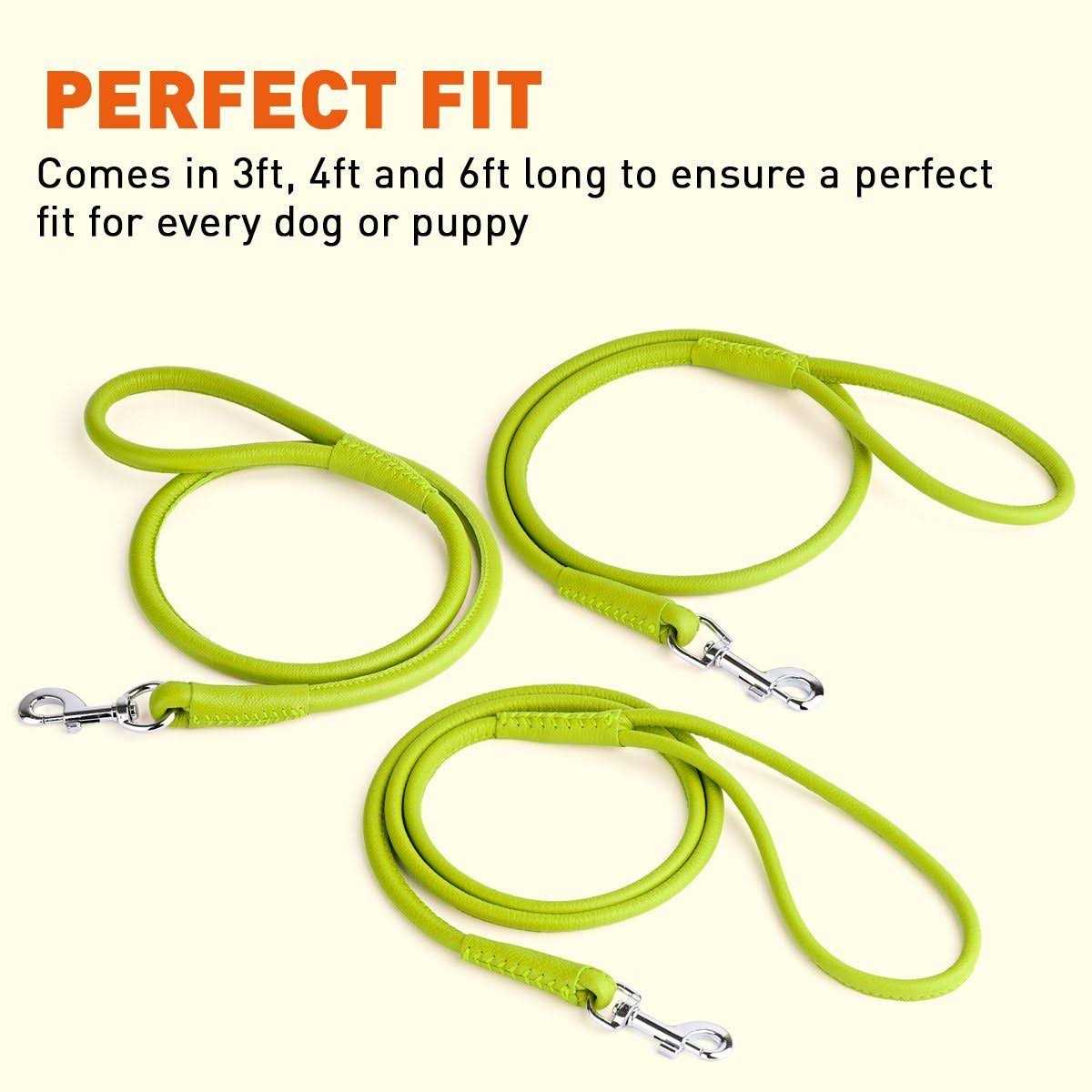 Soft Leather Round Leash L9224