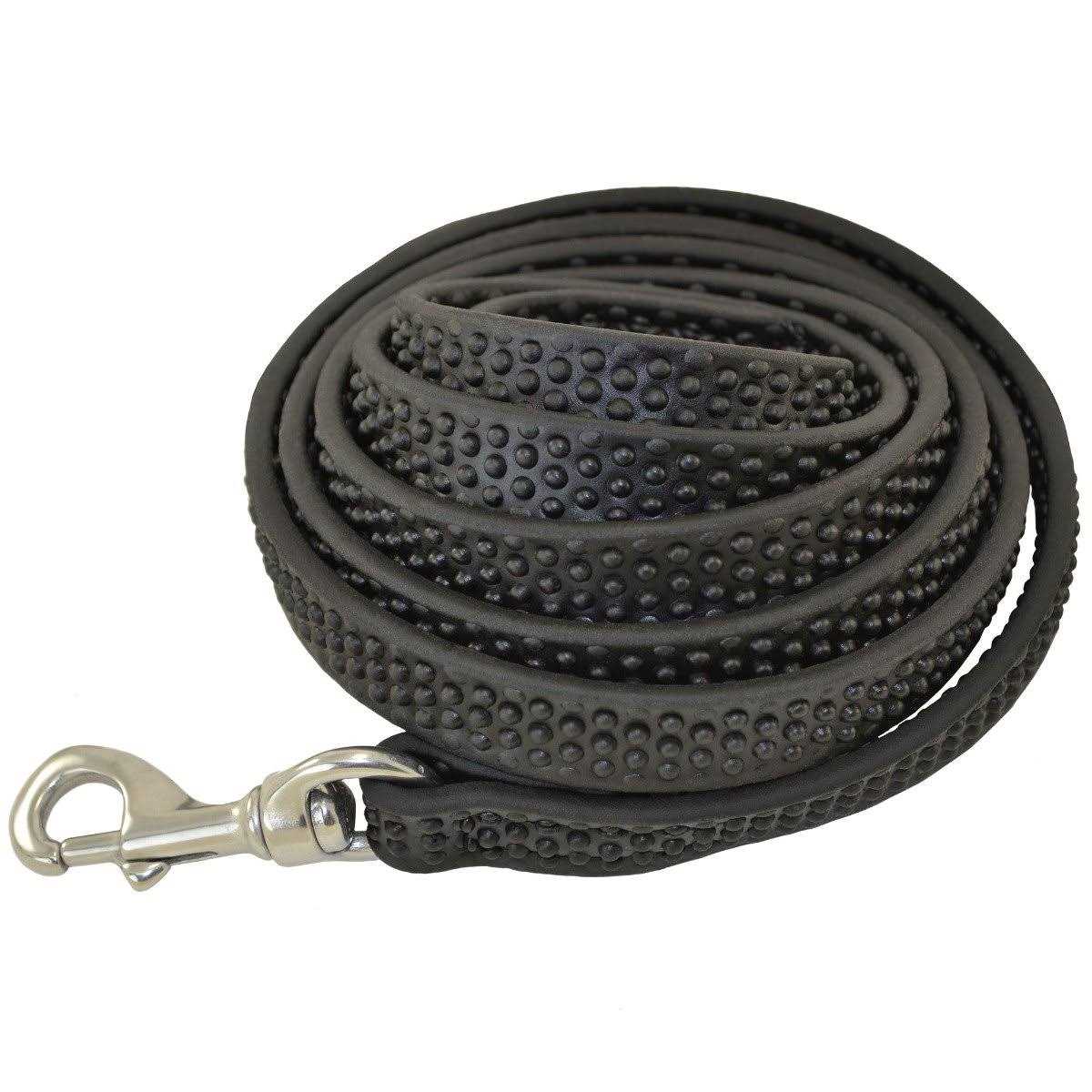 Biothane Leashes O142990