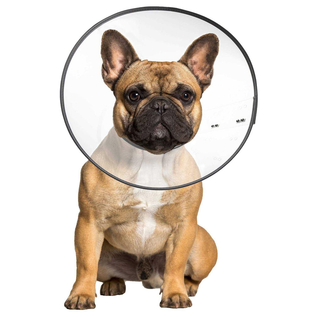 Clear Recovery Collar D79158