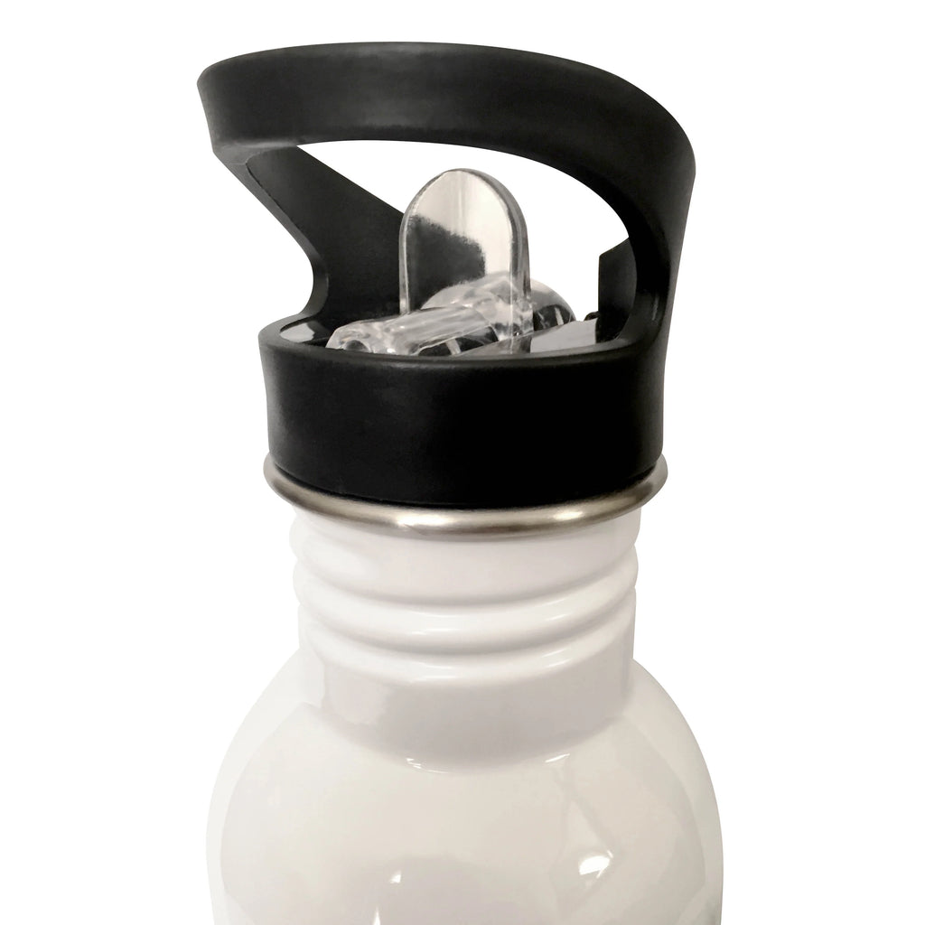 Black Straw Water Bottle Q925