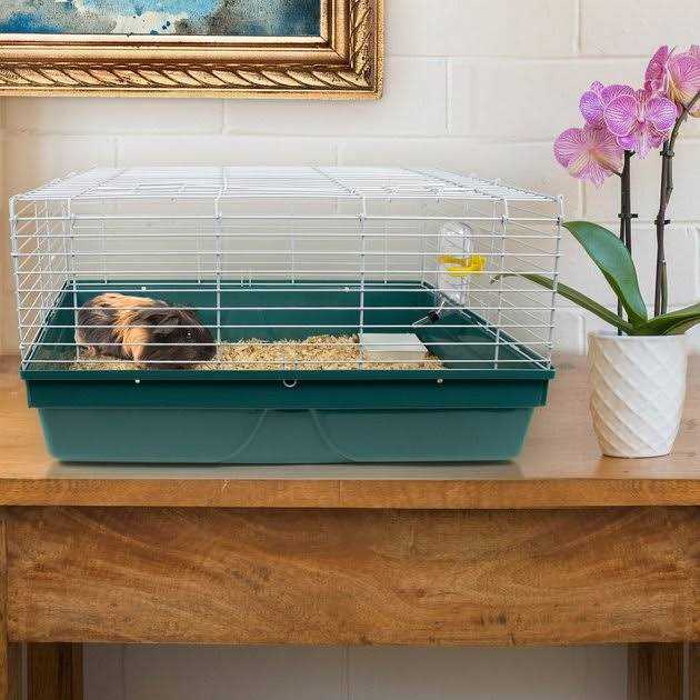 Small Animal Starter Kit B736