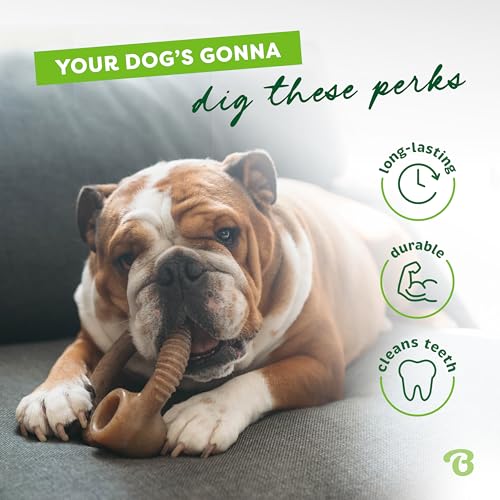 Durable Chew Toy for Aggressive Chewers D766748