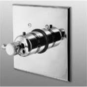 Antique Nickel Thermostatic Trim Plate with Handle U92275