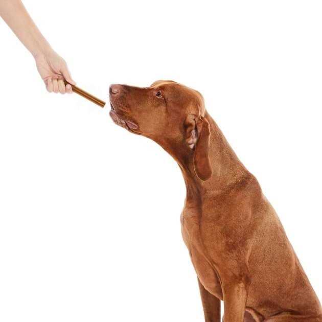 All-Natural Dental Chew Sticks W145222