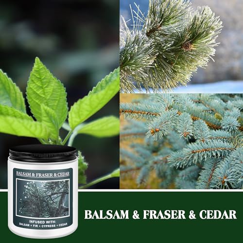 Christmas Tree Fir Pine Candles Y7936