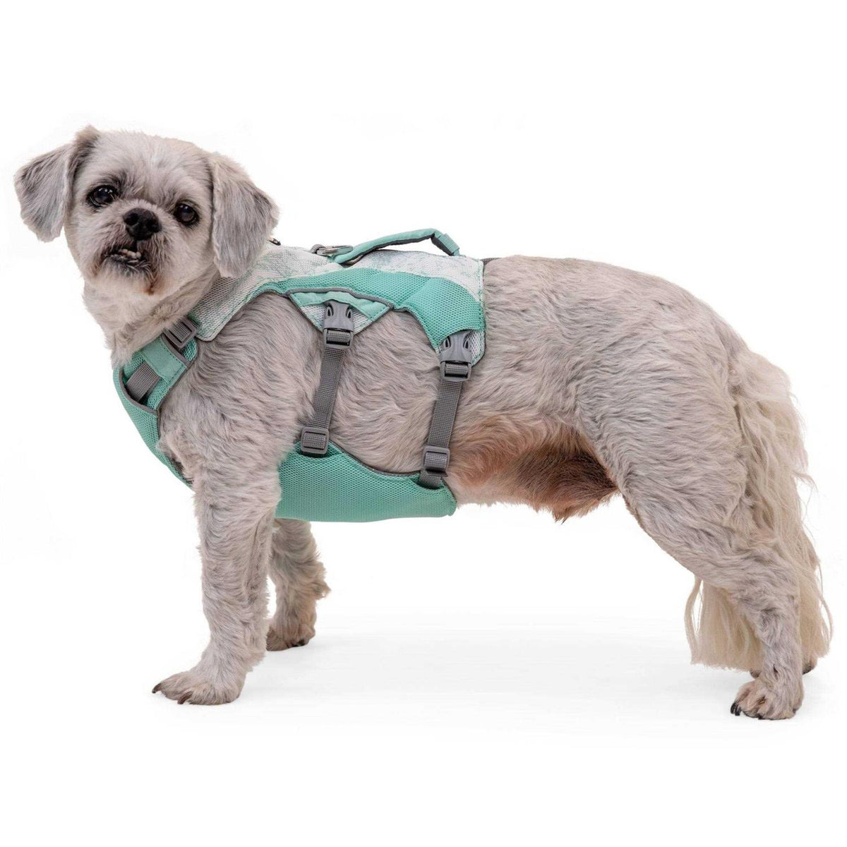 Dog Harness Z105