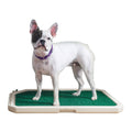 Indoor Pet Toilet T265136
