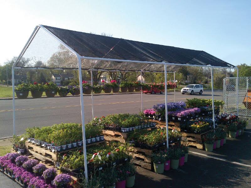 Black Shade Canopy A456