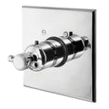 Antique Nickel Thermostatic Trim Plate with Handle U92275
