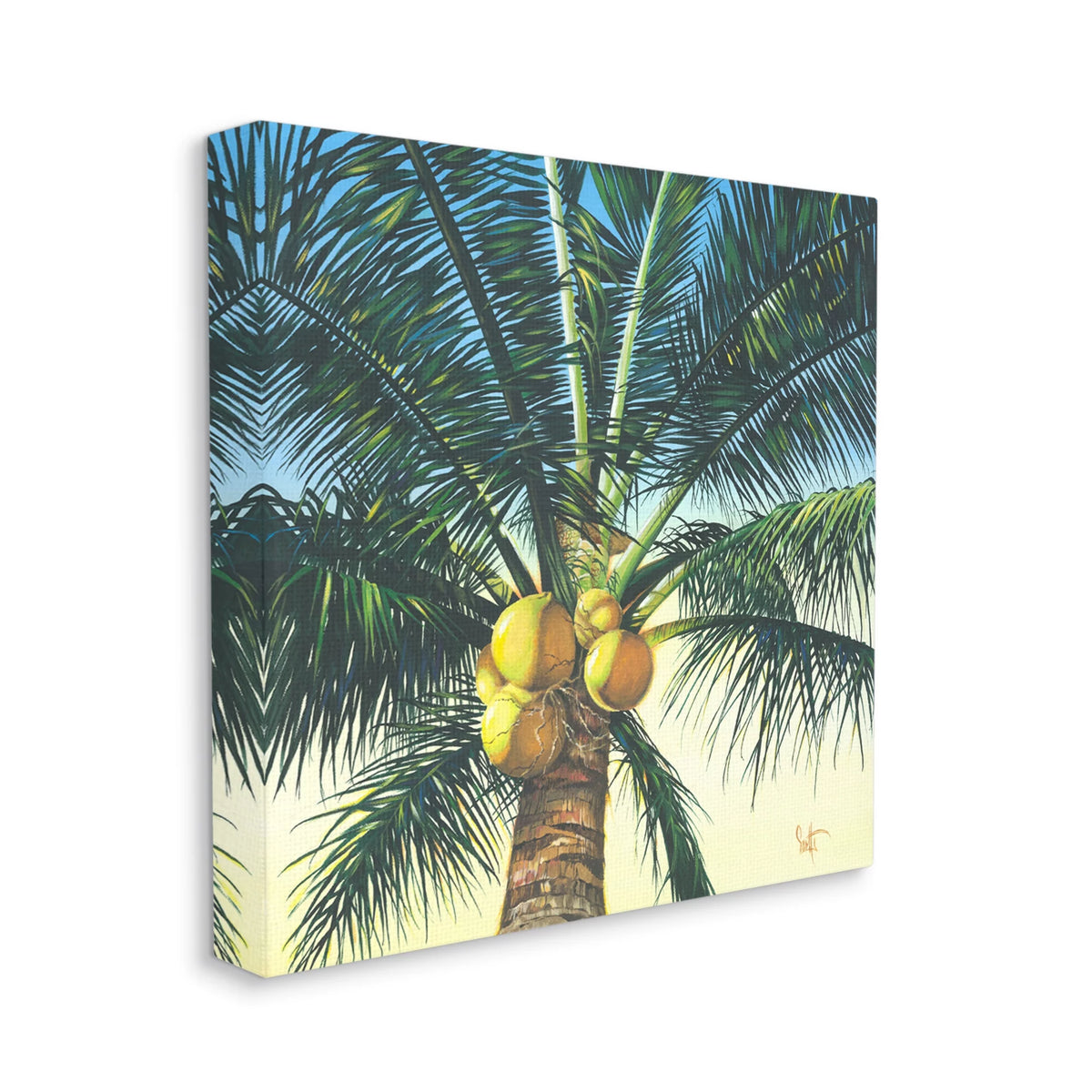 Botanical & Floral Gallery Wrapped Canvas Print Wall Art, 30 x 30 T19268