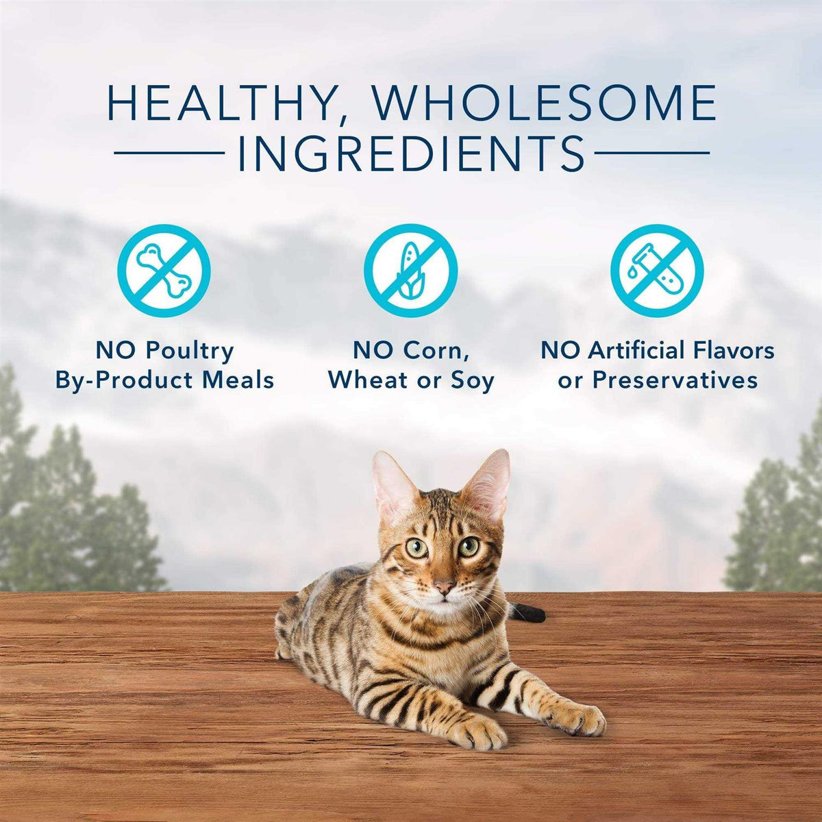Crunchy Cat Treats K35406