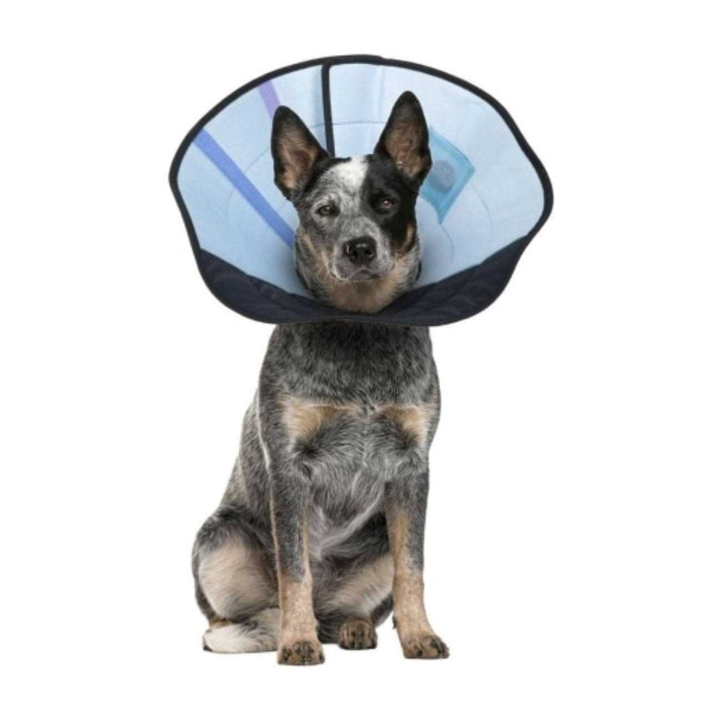 Dog Calming Collar U7938