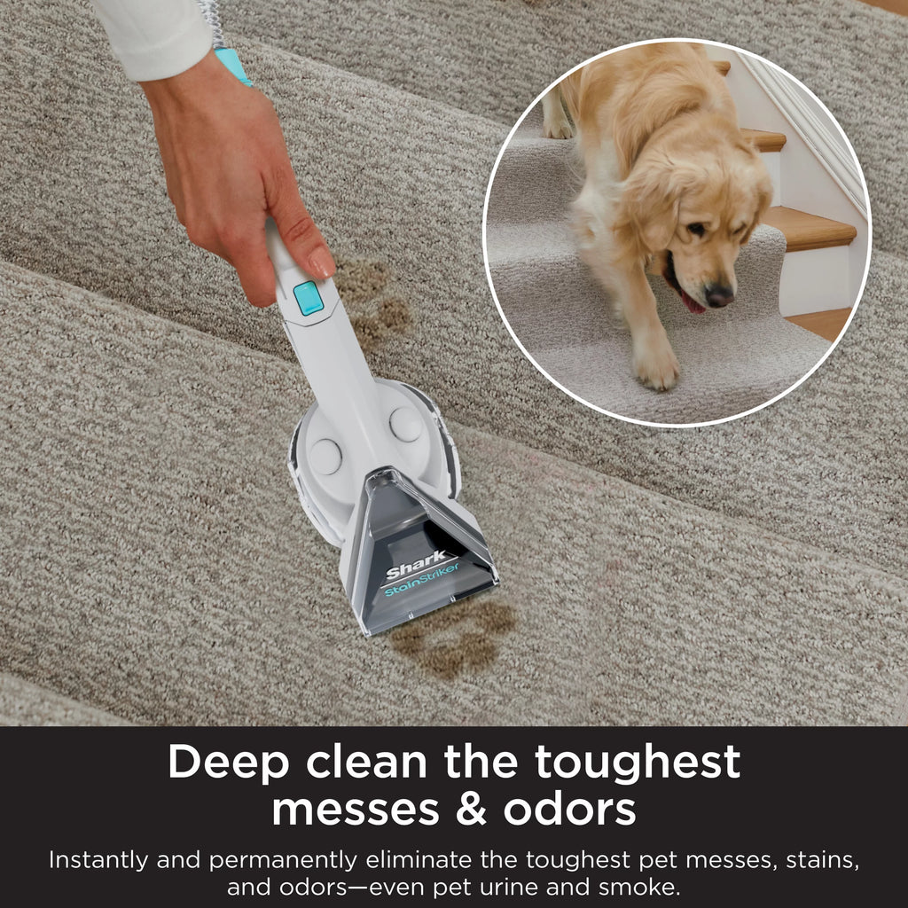 Carpet Cleaner Formula for Upright & Portable Cleaners, 48oz W9168