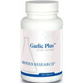 Garlic 100T K273