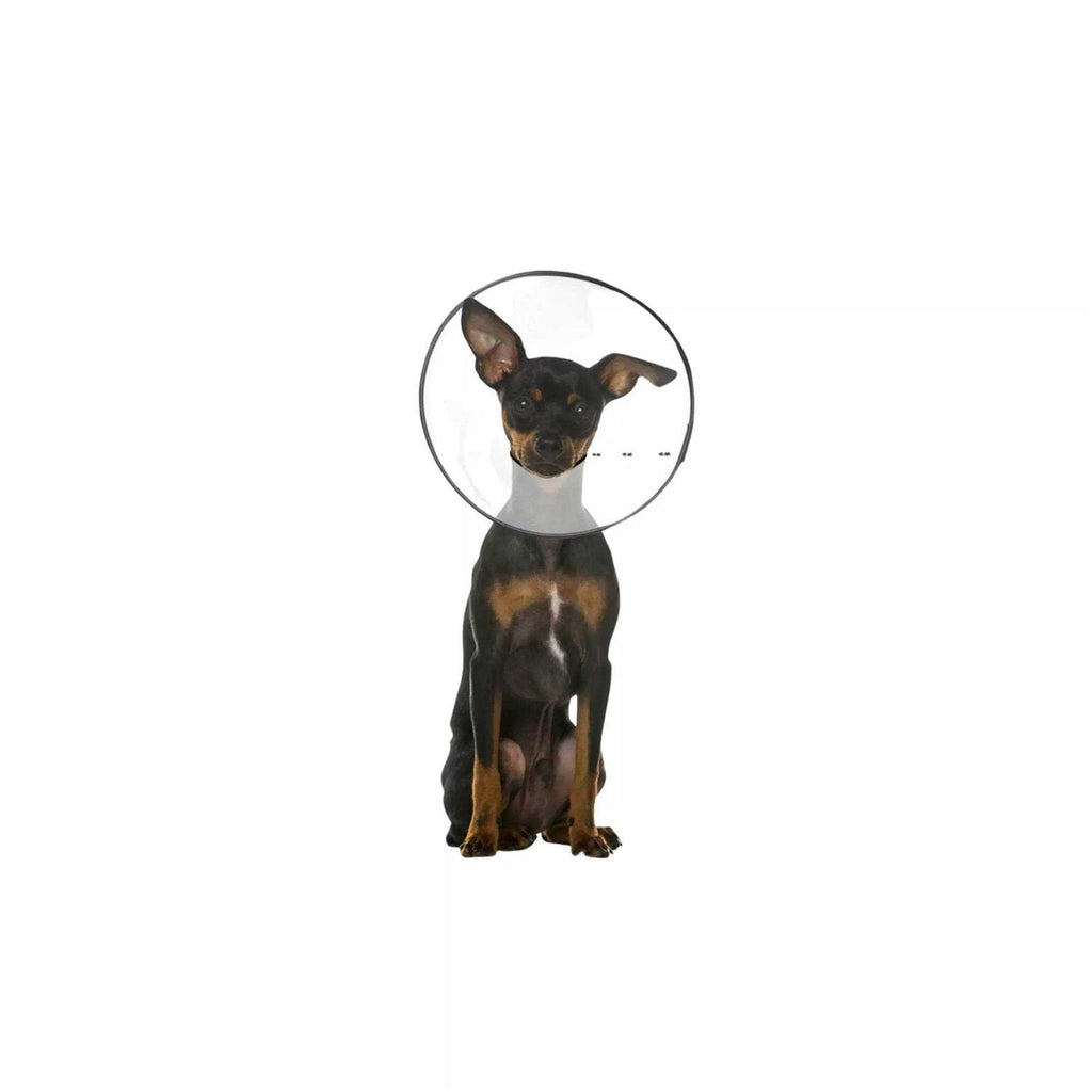 Clear Recovery Collar D79158