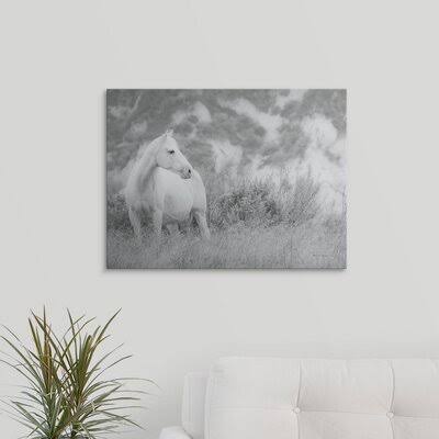 Canvas Photographic Print K715905