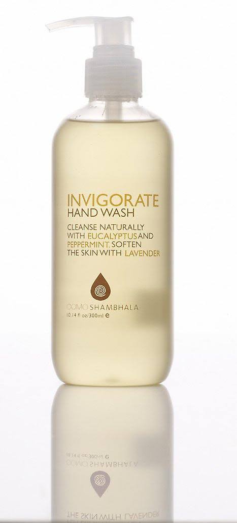 Invigorate Handwash 300ml L733