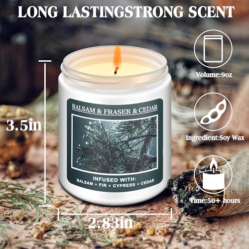 Christmas Tree Fir Pine Candles Y7936