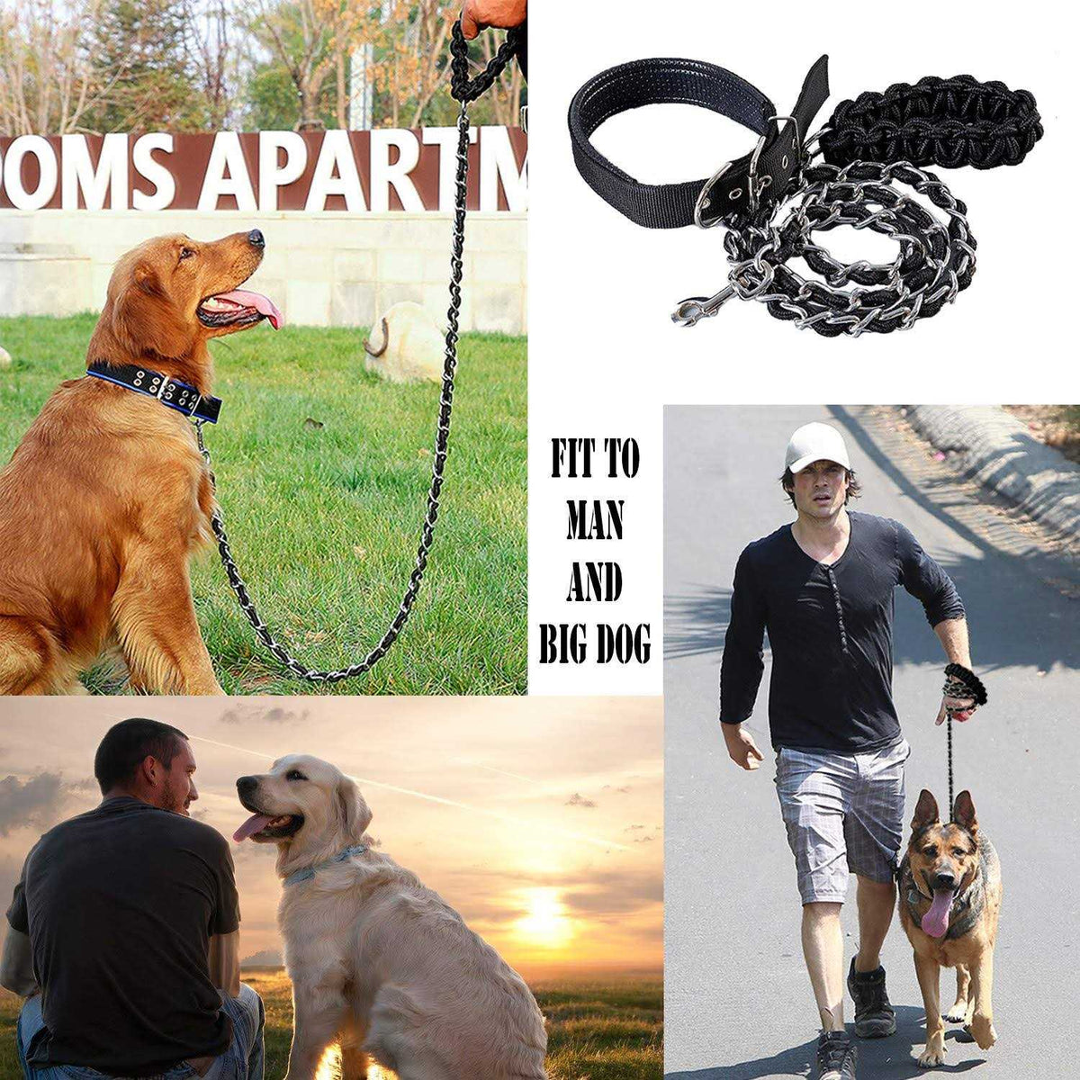 Heavy Duty Metal Dog Leash with Collar Y399