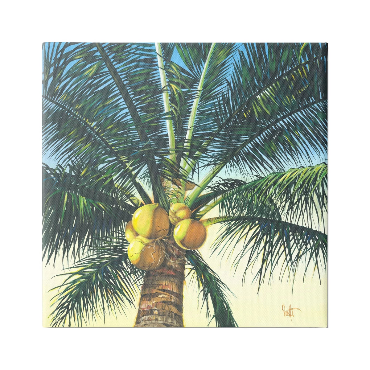 Botanical & Floral Gallery Wrapped Canvas Print Wall Art, 30 x 30 T19268