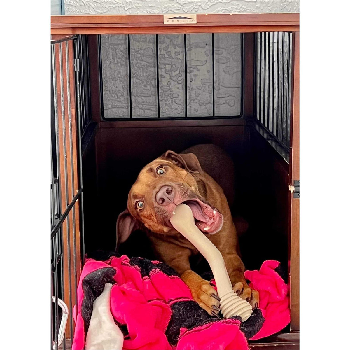 Tough Dog Chew Beef W161