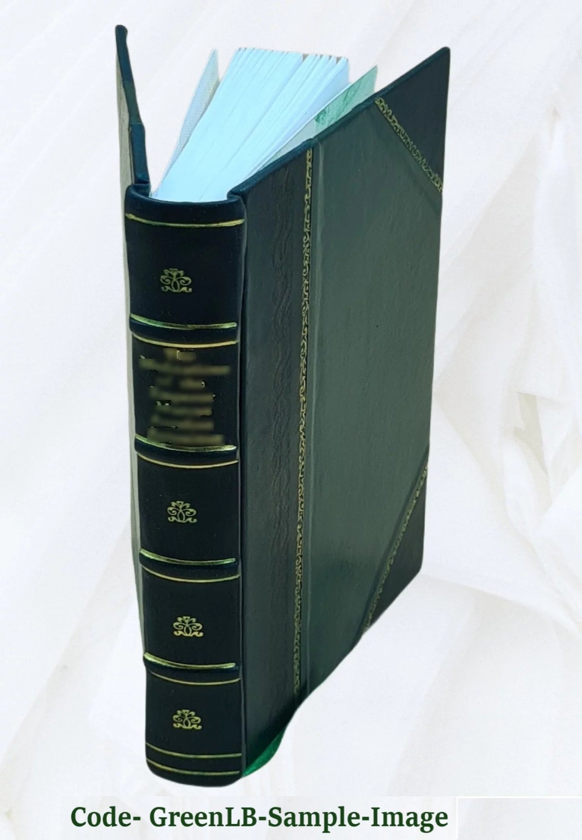Africa; or, Progress of the Prot. Epis. Mission at Cape Palmas, West Africa Y67927