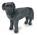 Plush Black Lab U342