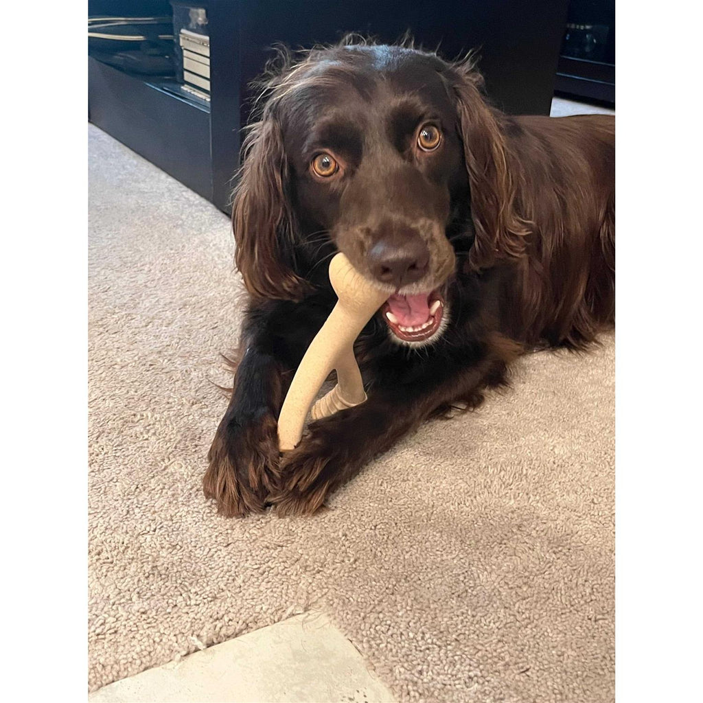 Tough Dog Chew Beef W161